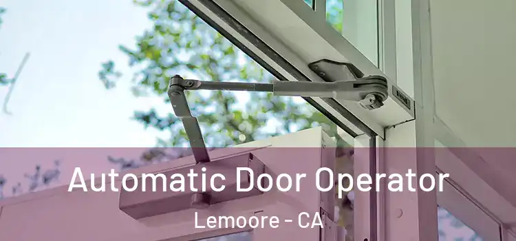 Automatic Door Operator Lemoore - CA