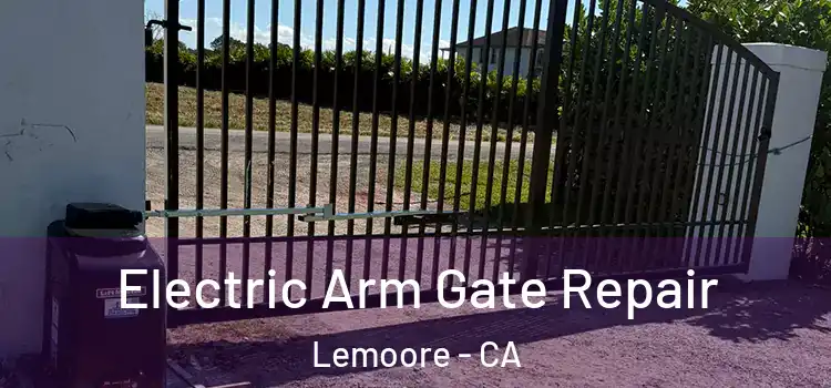 Electric Arm Gate Repair Lemoore - CA
