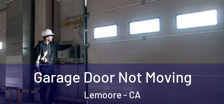  Garage Door Not Moving Lemoore - CA