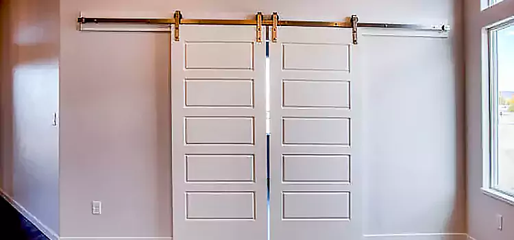 Glass Barn Door with Installation Hardware Kit Lemoore